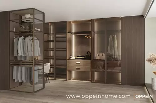 open-walk-in-closet-whole-house-customization-1